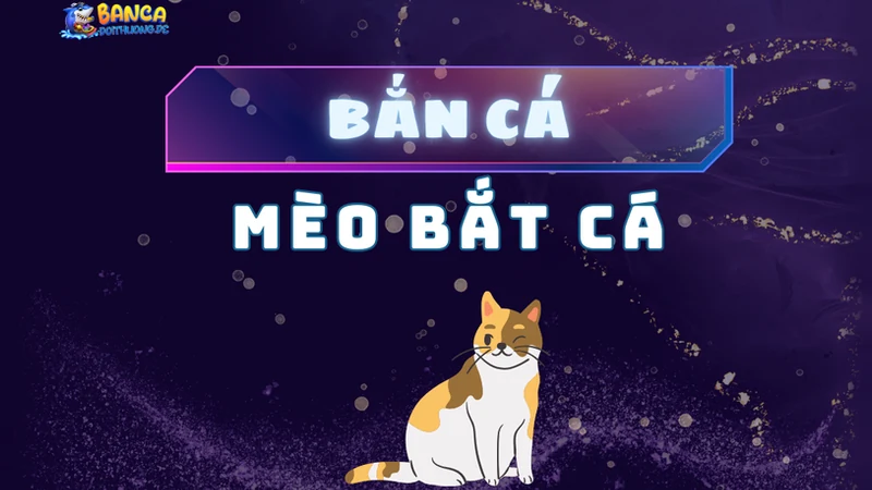 Bắn cá mèo bắt cá
